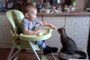 Too Cute Friends - Baby Feeds a His Kitten
