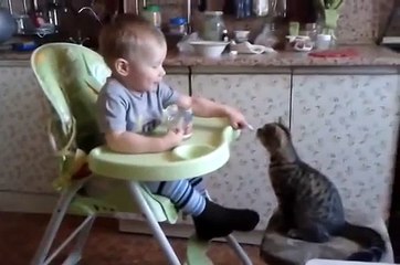 Too Cute Friends - Baby Feeds a His Kitten