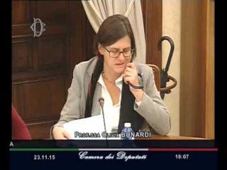 Roma - Audizione ...genere della normativa previdenziale (23.11.15)