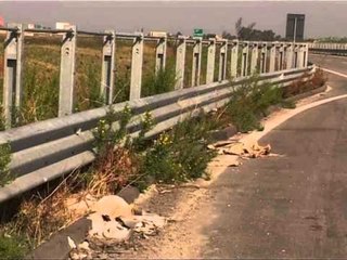 DEMTOHET AUTOSTRADA VIDHEN ELEMENTET METALIKE TE RRUGES QE TE ÇON NE VLORE LAJM