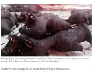 BARBEQUE MEAT OF SNAKES, CATS/DOGS, RATS, BATS & INTO CULINARY EXTREMES IN MANADO, INDONESIA