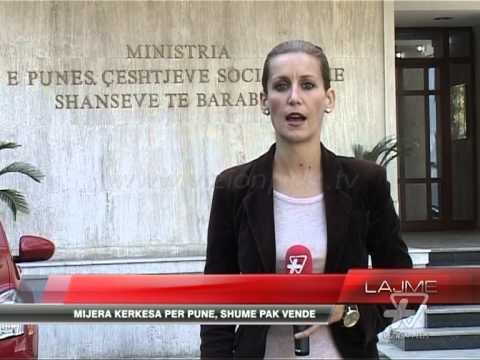 Selia e PS, si zyre punësimi - News, Lajme - Vizion Plus