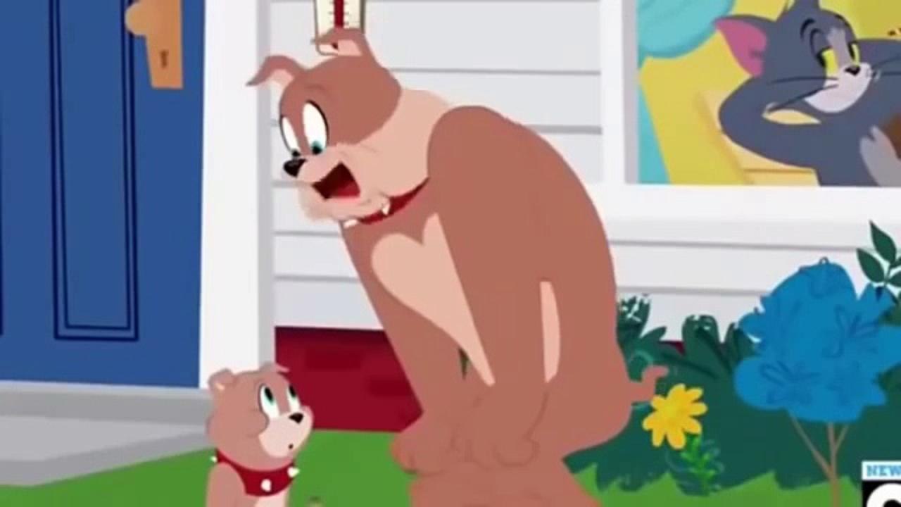 Tom and Jerry Cartoon ** New Episode Hindi Me ** 31st Jan 2013 Part 11