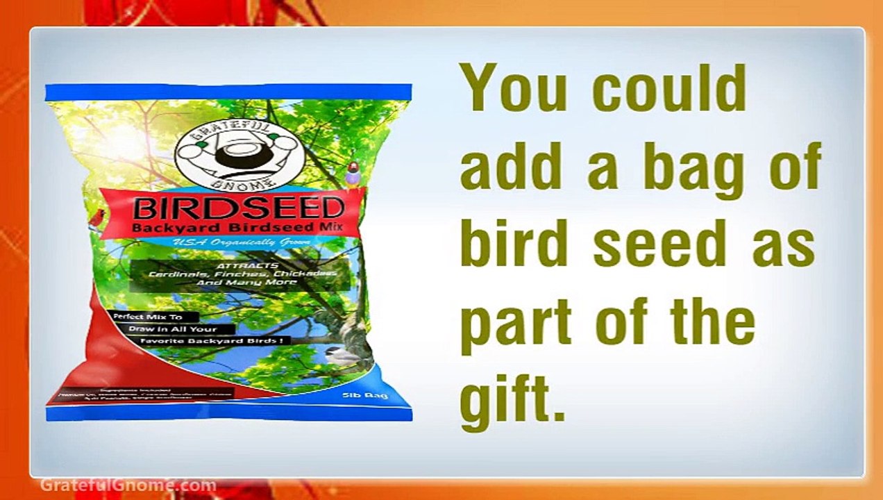 Bird Feeder Gifts for Parents This Christmas