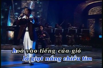 Hoa tim bang lang - Truong Vu - Karaoke