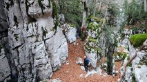 SAB. 14-11-15: ESCURSIONE SUI MONTI ALBURNI NEL PARCO DEL CILENTO PARTENDO DAL RIFUGIO PANORMO (1338 M.) AL MONTE ALBURNO (1742 METRI).