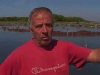 LAGUNA NE RREZIK PESHKATARET ANKOHEN SE NE NARTE PO ZHDUKET PESHKU LAJM