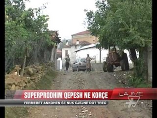 Superprodhim qepësh në Korçë - News, Lajme - Vizion Plus