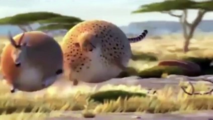 Very Funny Video if Animals where FAT