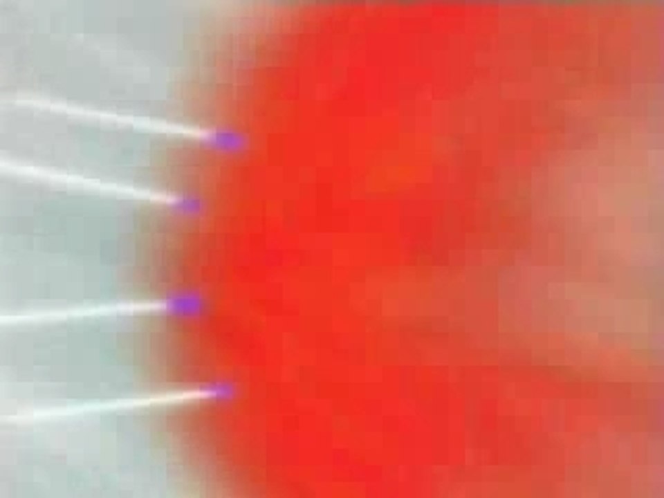 AMV Uchiwa Sasuke
