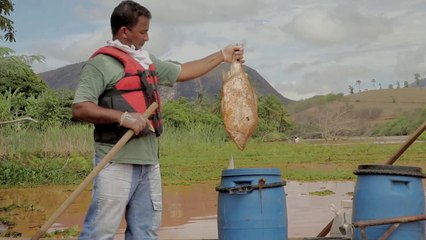 Emoção de pescadores no Rio Doce