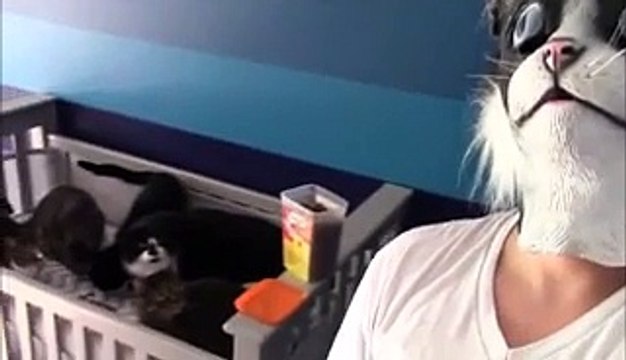 Il fait peur à ses chats...