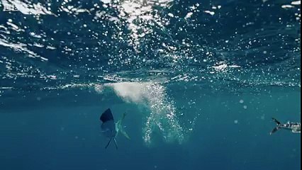 The Hunt‬ flying fish