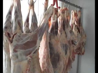 MISHI I PAKONTROLLUAR TREGTARET E SHESIN MES PLUHURIT DHE BALTES KETE PRODUKT LAJM