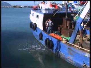 DREJT FALIMENTIMIT PESHKATARET E VLORES NUK PERBALLOJNE KOSTOT E PESHKIMIT LAJM