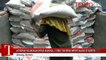 Antisipasi Kelangkaan Beras, 21 Ribu Ton Beras Impor Masuk Banten