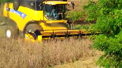 Modern Agriculture Harvesting At Work Around The World New Compilaton