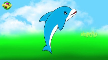 Dolphin Kids World Cartoon Finger Family Rhymes | Kids World 2d Animated Rhymes