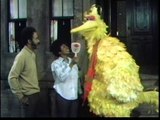 Classic Sesame Street Big Bird Uses a Mirror/Buddy & Jim