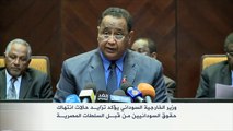 الخارجية السودانية: تزايد حالات انتهاك حقوق السودانيين بمصر