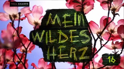 Mein Wildes Herz #16 Kapitel Hörbuch