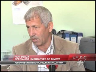 Agronomet: Fermeret injorojne keshillat tona - News, Lajme - Vizion Plus