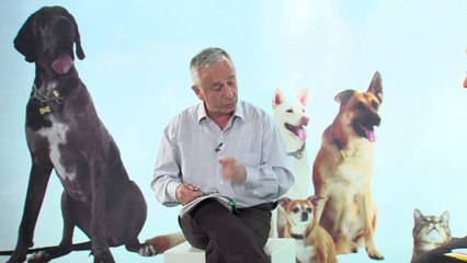 Fisi I Faunes - Episodi 4