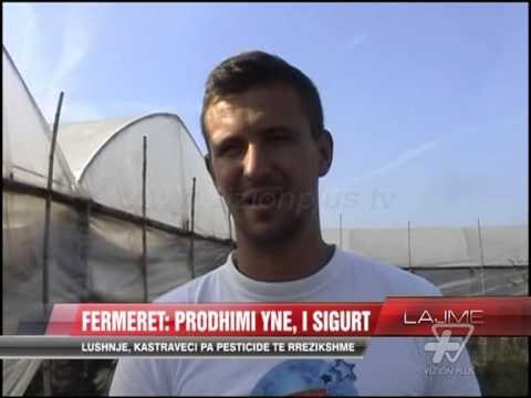Lushnjë, fermerët: Prodhimi ynë, i sigurt - News, Lajme - Vizion Plus