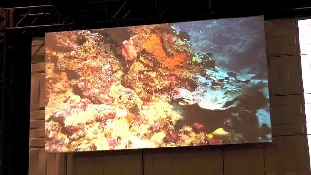 KPMG press conference [ 2015 LA Auto Show CCE, 11/17 Tue ]