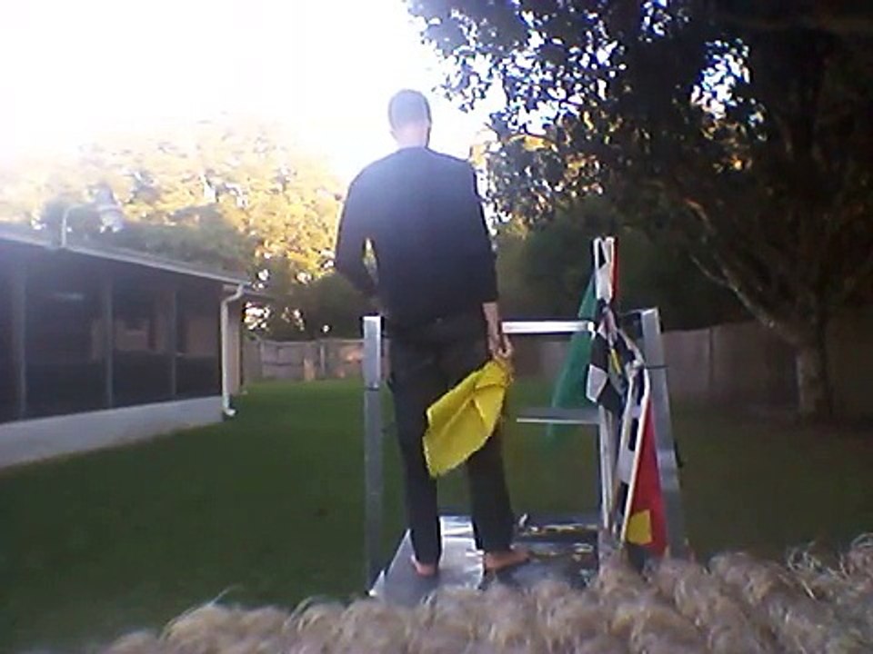 championship flagging