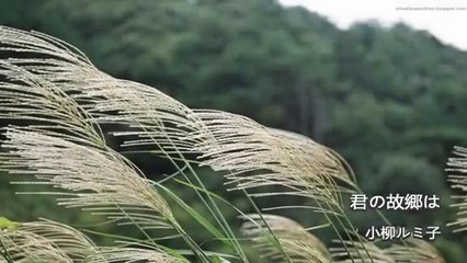 君の故郷は・・小柳ルミ子