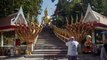 Jungle Skating in Thailand   Siam Siam But Different  Part 1