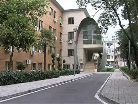 RIMBURSIMI FIKTIV I TVSH NE PRANGA 2 ISH DREJTUES NE TATIME,NE KERKIM 7 TE TJERE LAJM