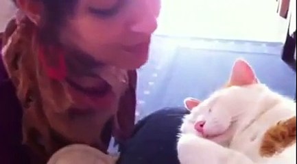 Ce chat aime les bisous sur le front et en redemande