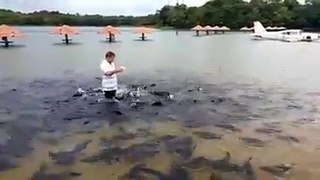 the man enjoying in group fishes at pond