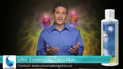 Lifes Essence by Coco Mak Bay ShoreTerrific5 Star Review by Ginger