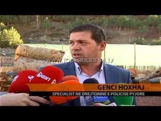 Kontroll për pyjet e prera - Top Channel Albania - News - Lajme