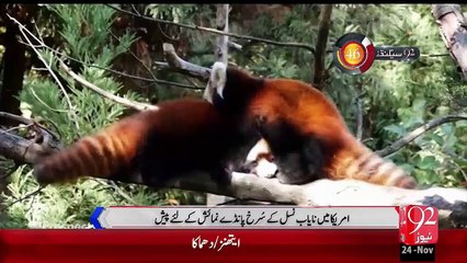 92Seconds – 24 Nov 15 - 92 News HD