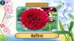 Learn Names of Flowers in Hindi | Animation Video for Kids