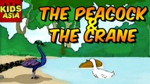 The Peacock & The Crane | Tales of Panchatantra | Kids Animated Story in Hindi | Kids Asia