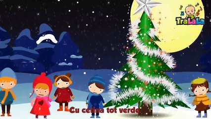 O brad frumos cu versuri TraLaLa