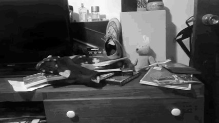 Cortos: Un hermosa hitoria que tienes que ver