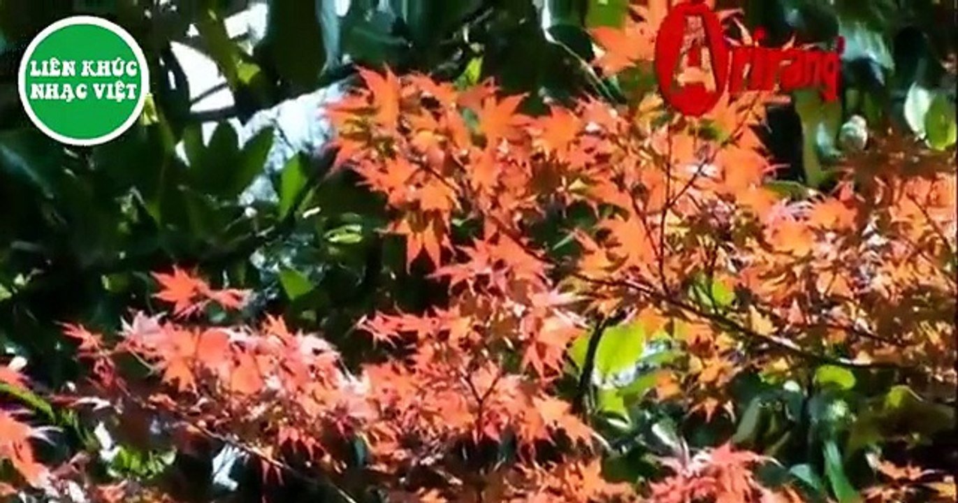 Liên khúc nhạc sống Sông Đáy Vol.1 - Nhạc Sống Mới Và Hay Nhất 2015