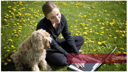 La formation à distance avec Vox Animae