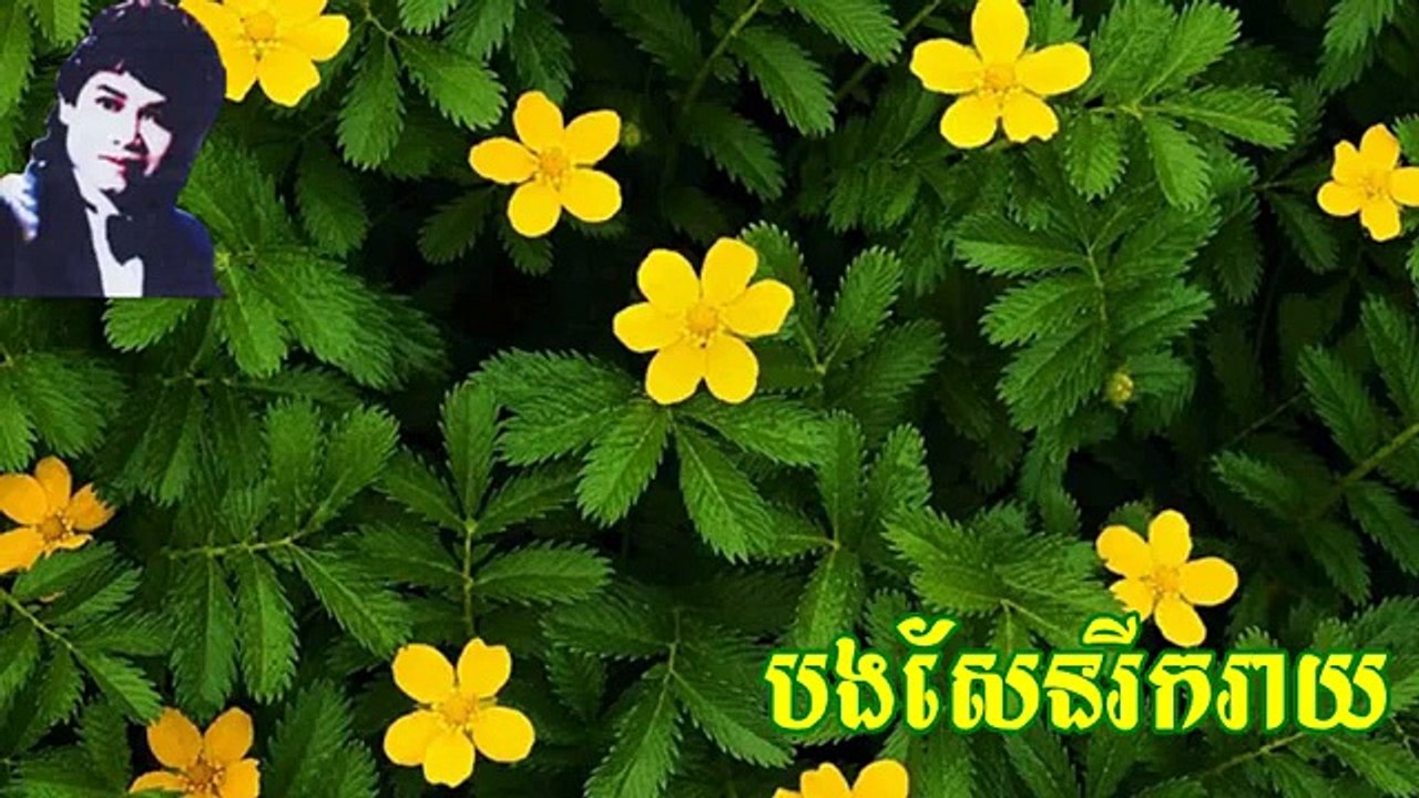 Bong Sen Reek Reay Keo Sarath old video music mp3