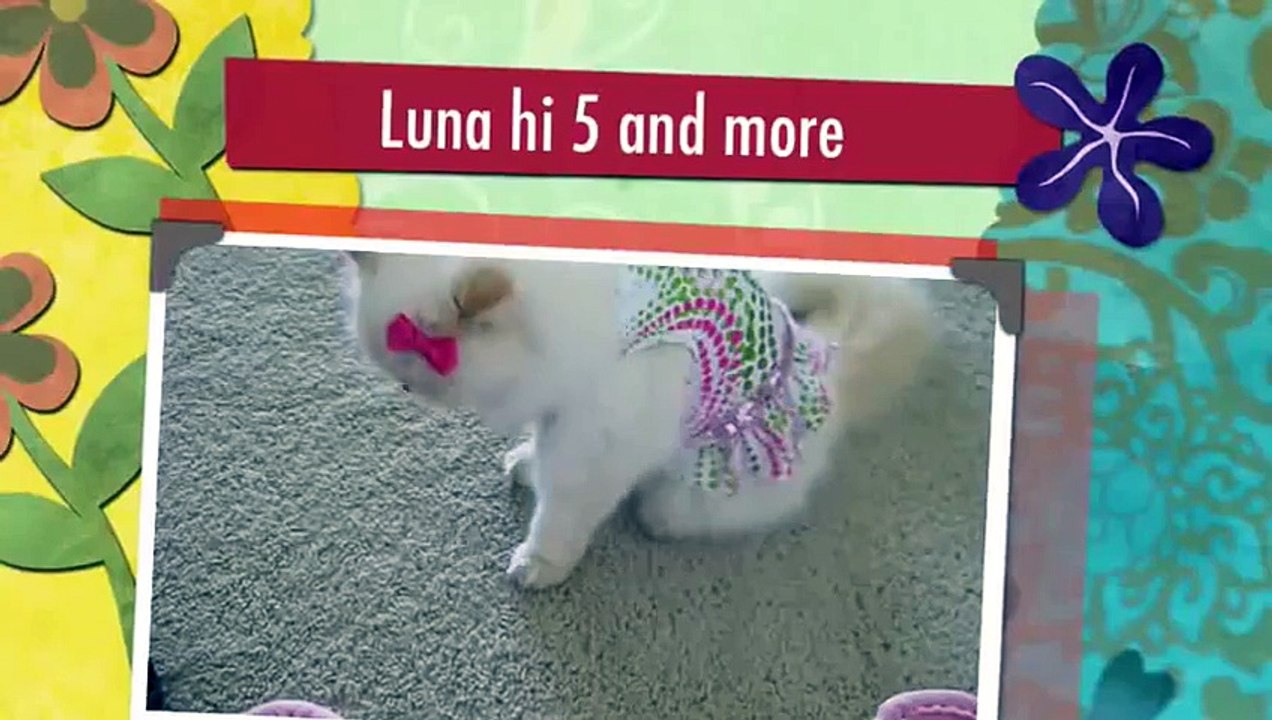 Luna hi 5 and more