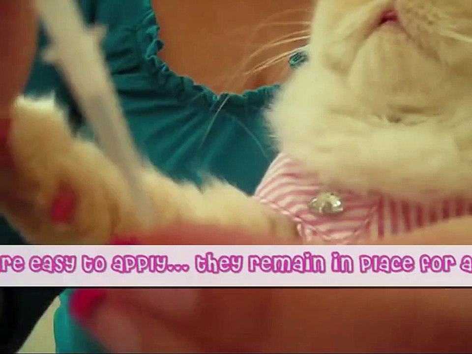 Luna PAWdicure!
