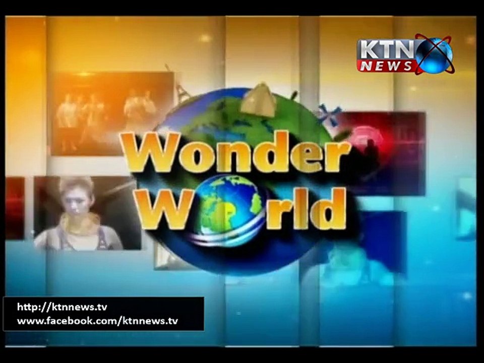 Wonder World 22nd November 2015