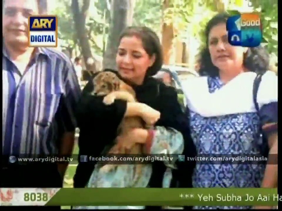 Babra Sharif has adopted a lion cub