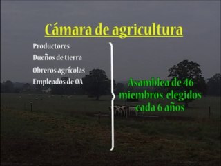 PIA-Cuba-Francia_Representacion-productores-franceses